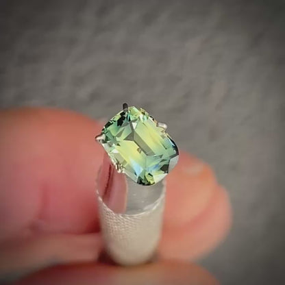 Cushion 1.25ct blue/yellow parti Australian Sapphire