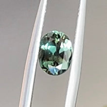 Load image into Gallery viewer, Oval cut 1.44ct Australian Blue Green sapphire